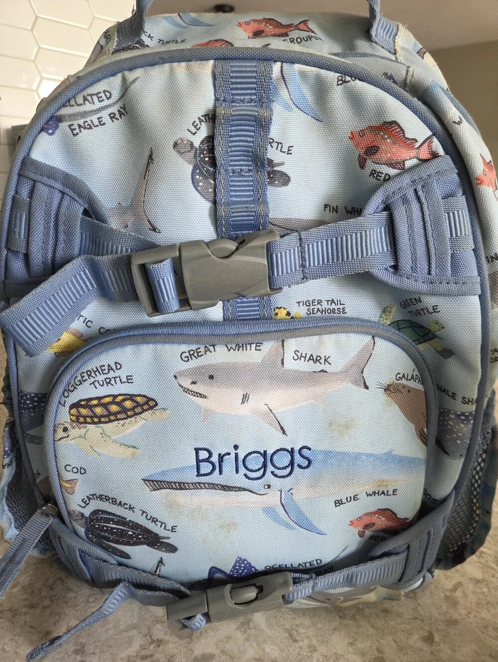 Pottery Barn Kids Shark & Sea Creatures Blue Backpack + Lunchbox Set